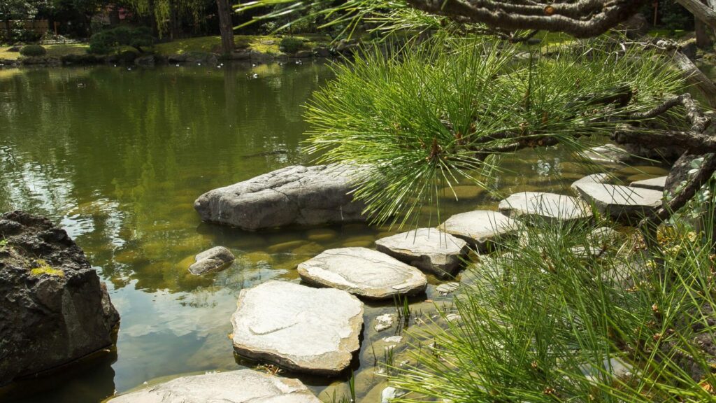 Ogród w stylu japońskim z charakterystyczną kamienną ścieżką